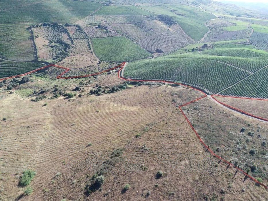 Terreno agrícola para produção de vinho em Freixo de Espada a Cinta — miniatura 7