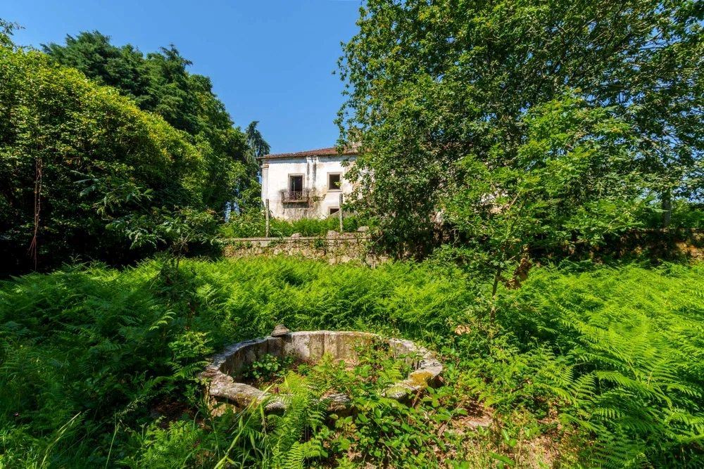 Quinta do Buraco em Vila de Cucujães — miniatura 13