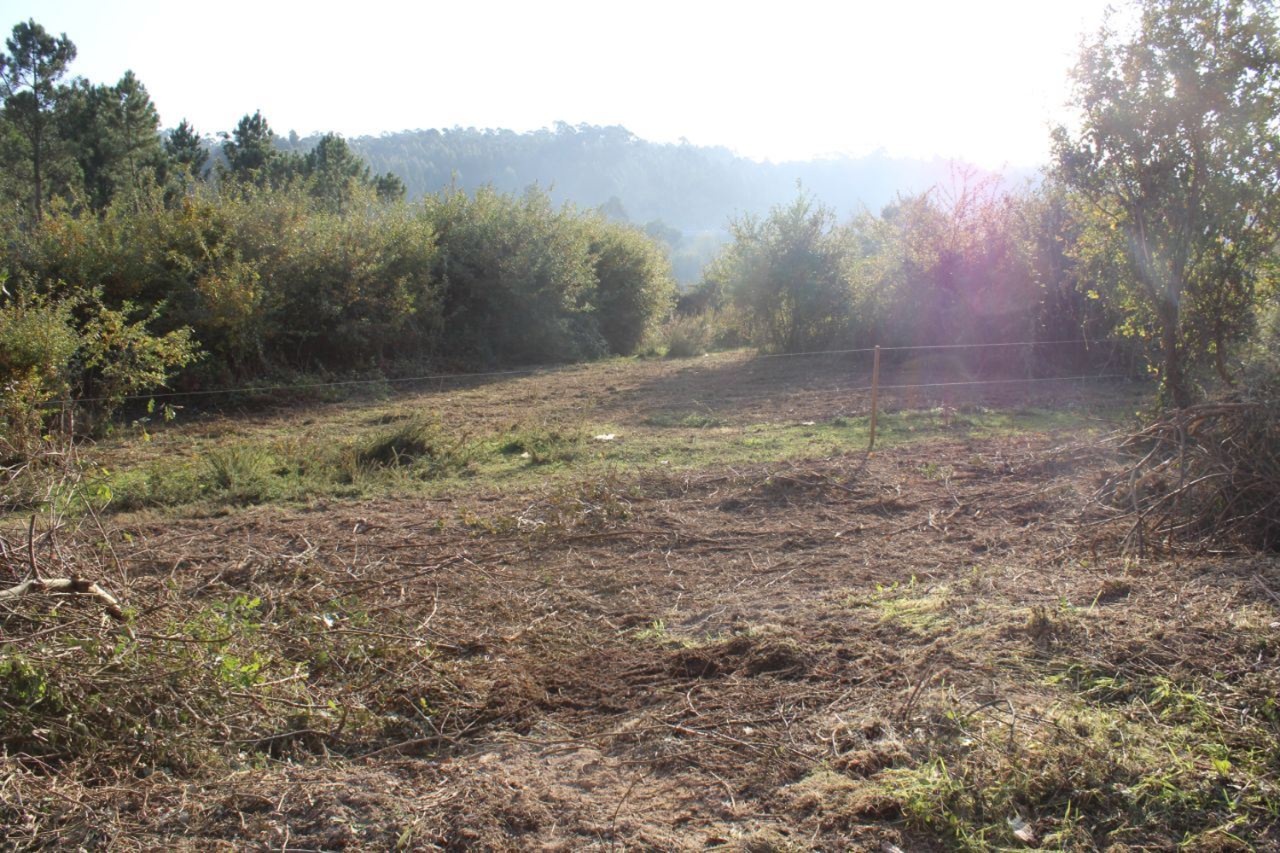 Terreno para construção de moradia em Pedroso — miniatura 6