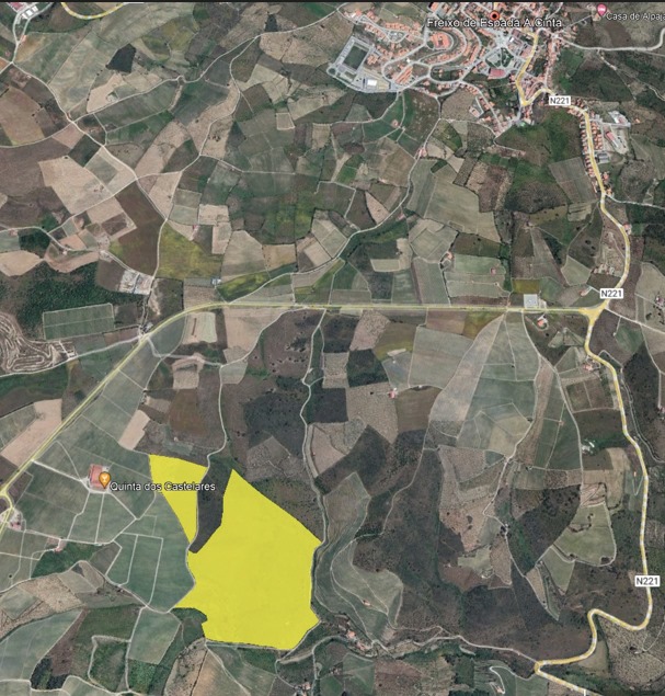 Terreno agrícola para produção de vinho em Freixo de Espada a Cinta — miniatura 13