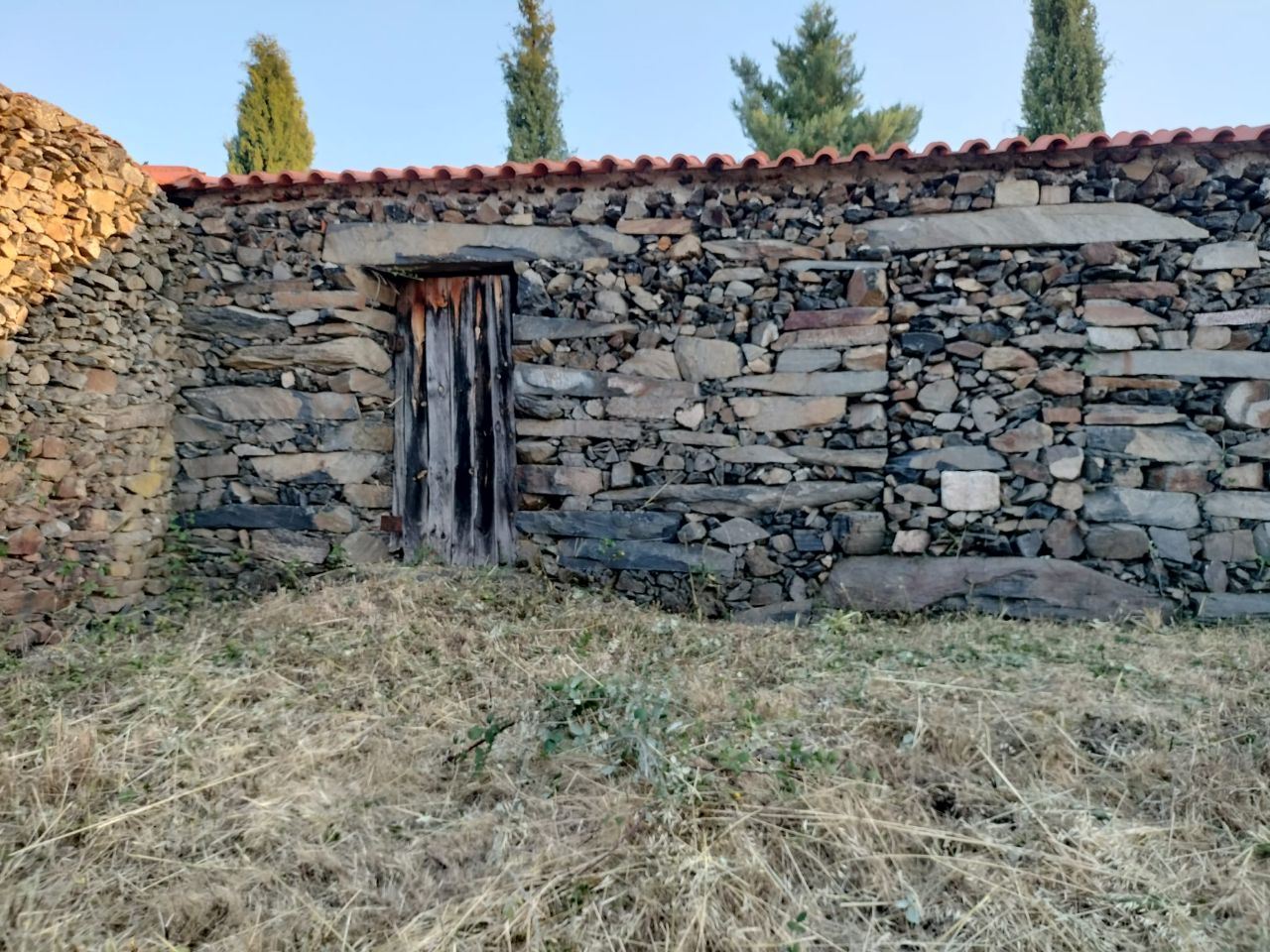 Terreno Agrícola para produção de Vinho — miniatura 16