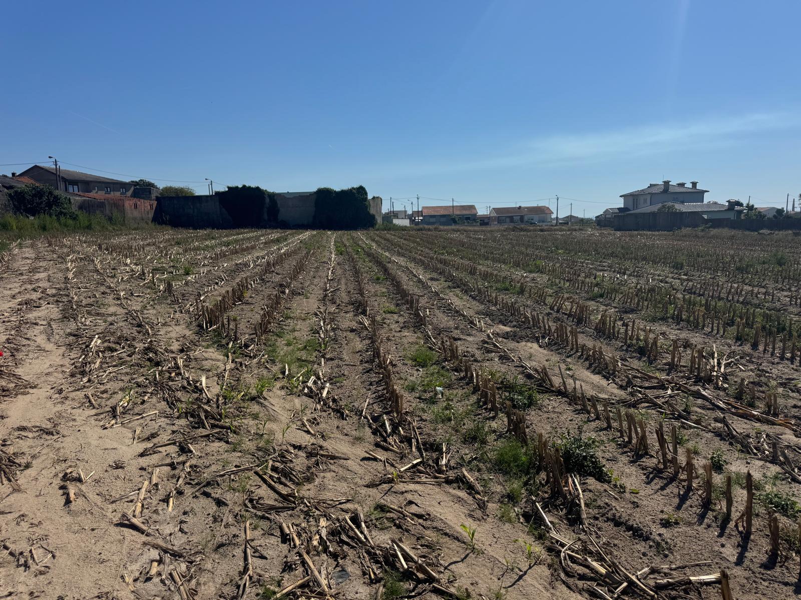 Casa de lavoura T4 em granito com terreno de 5.000 m2 em Matosinhos — miniatura 10