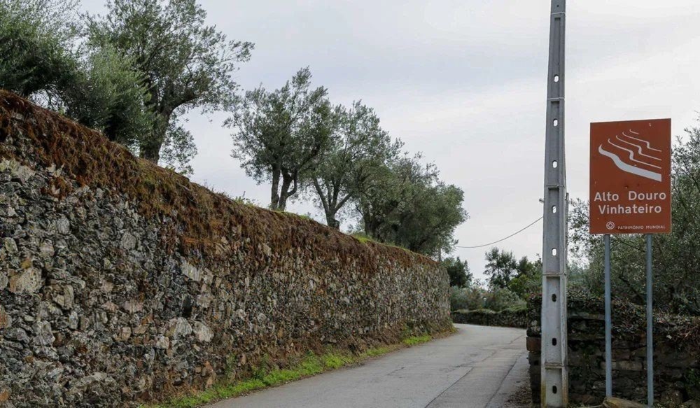 Quinta T4 de 4 hectares em Canelas do Douro próximo do Rio Douro — miniatura 11