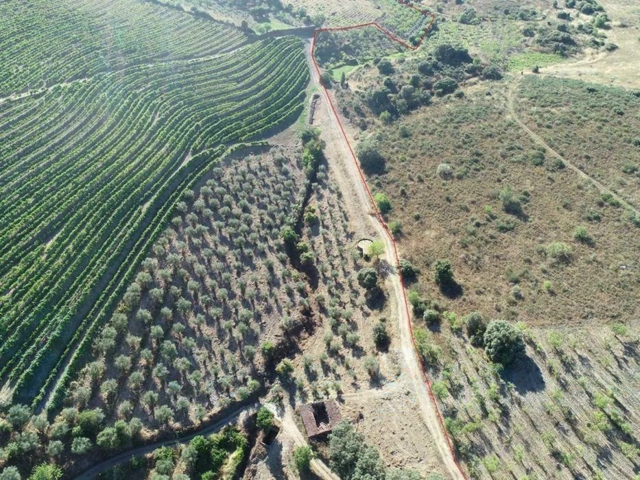 Terreno agrícola para produção de vinho em Freixo de Espada a Cinta — miniatura 2
