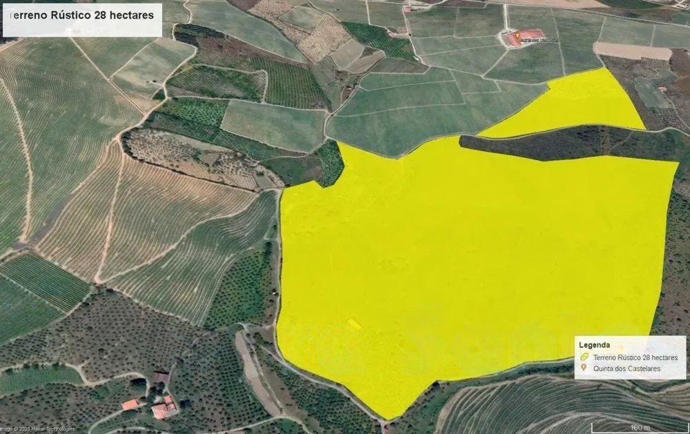 Terreno Agrícola para produção de Vinho — miniatura 19