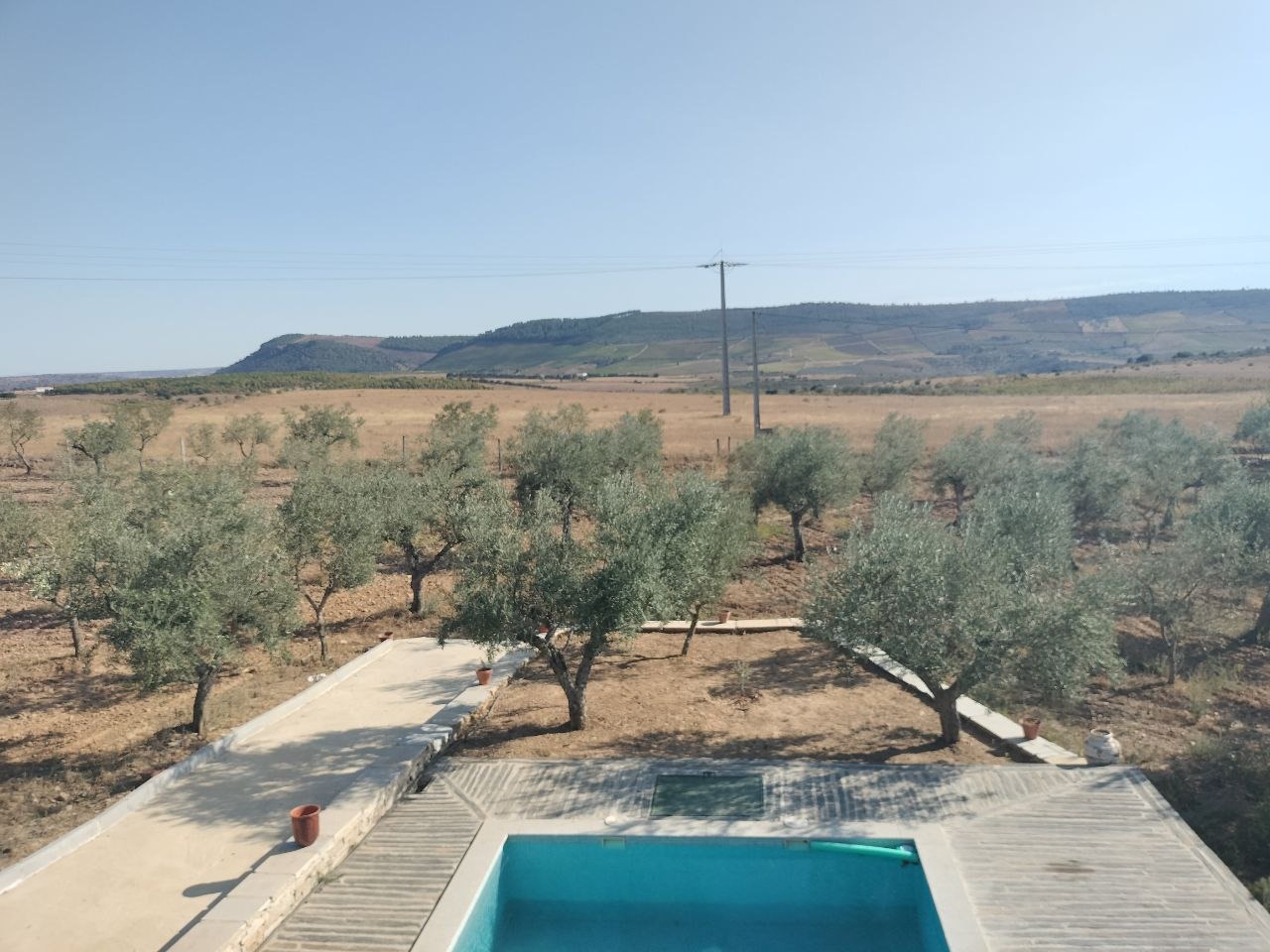 Quinta da Travessa com 3 hectares e piscina em Freixo Espada à Cinta — miniatura 4
