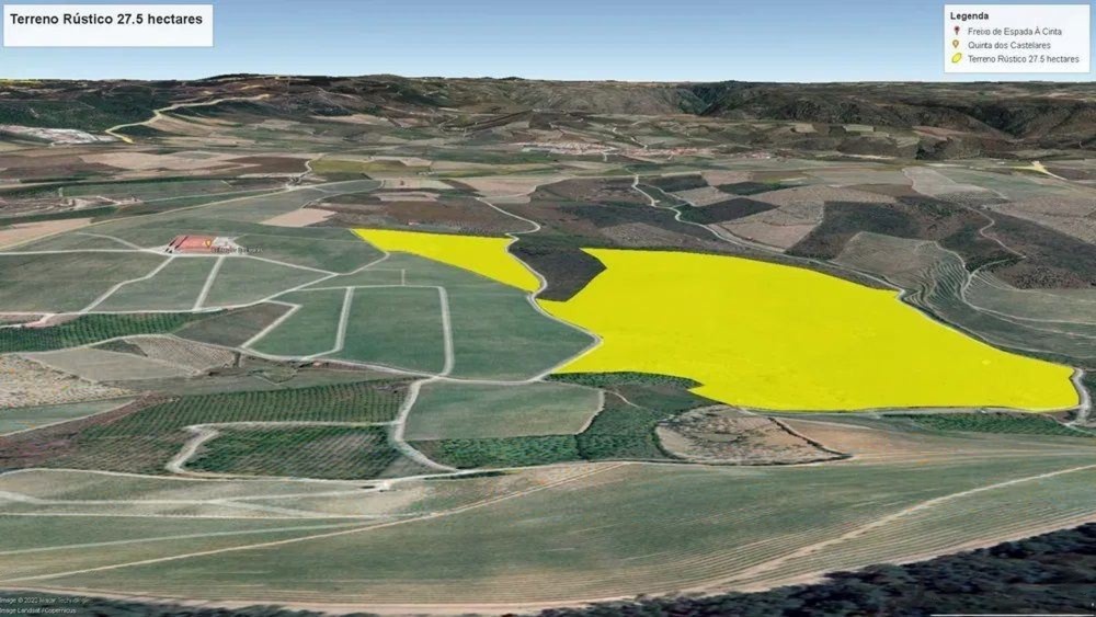 Terreno Agrícola para produção de Vinho — miniatura 20