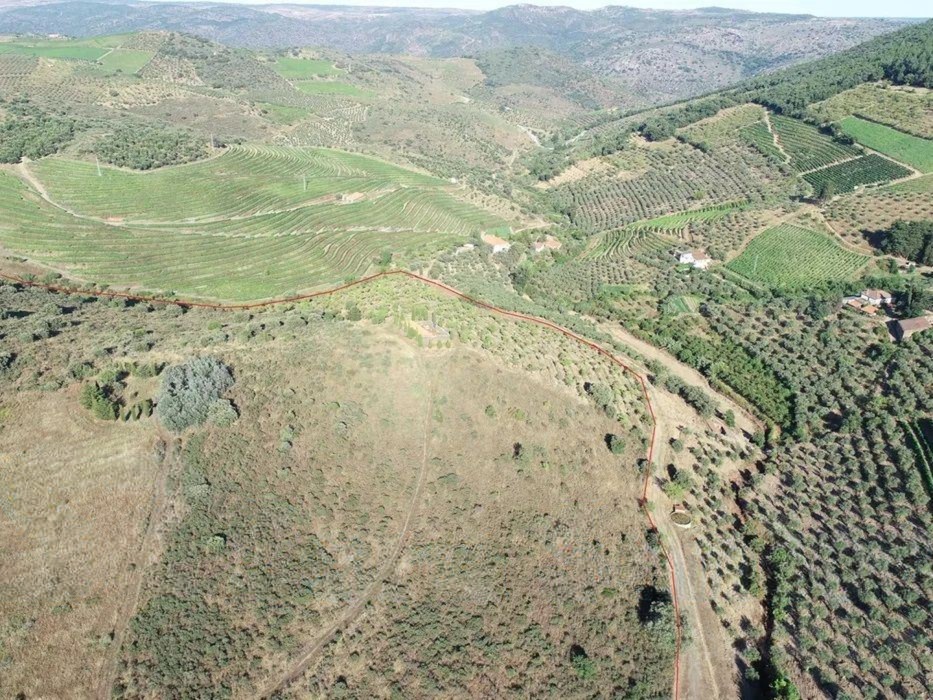 Terreno agrícola para produção de vinho em Freixo de Espada a Cinta — miniatura 4