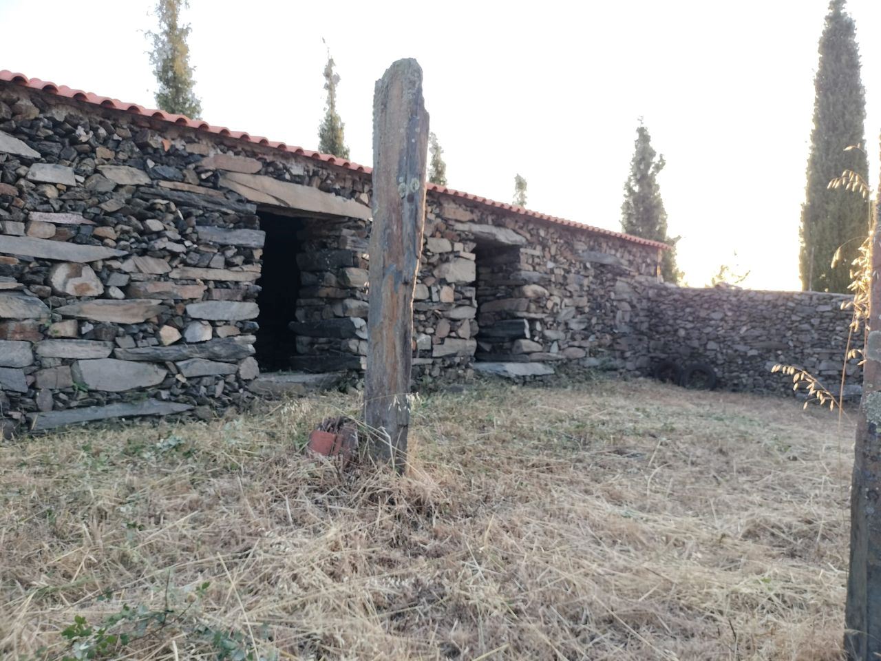 Terreno Agrícola para produção de Vinho — miniatura 15