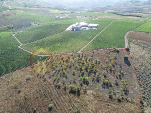 Terreno agrícola para produção de vinho em Freixo de Espada a Cinta
