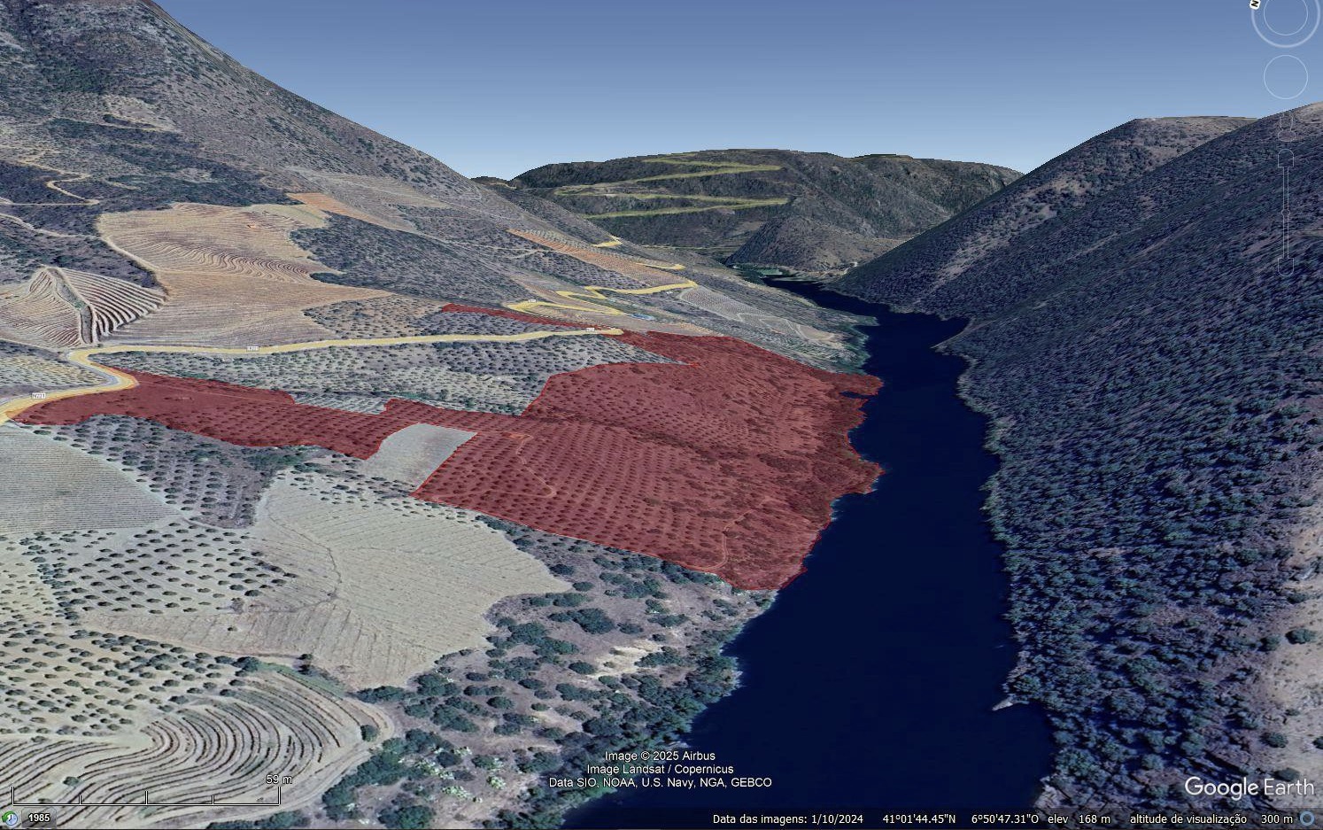 Quinta de 15 hectares com 800 metros de frente ao Rio no Douro — miniatura 7