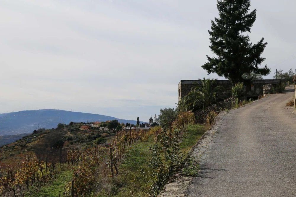Quinta T4 de 4 hectares em Canelas do Douro próximo do Rio Douro — miniatura 6