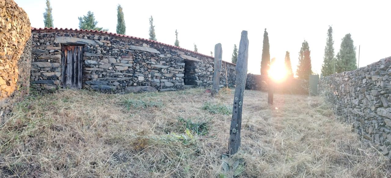 Terreno Agrícola para produção de Vinho — miniatura 14