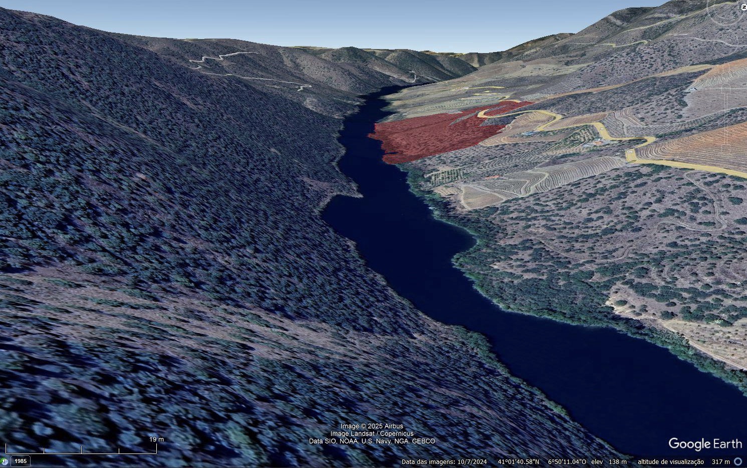 Quinta de 15 hectares com 800 metros de frente ao Rio no Douro — miniatura 10