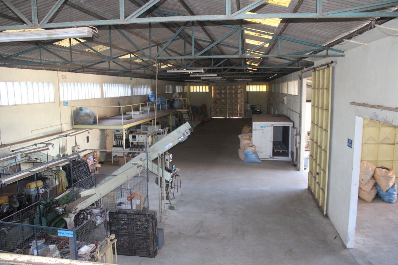 Armazém industrial em Lourosa — miniatura 8