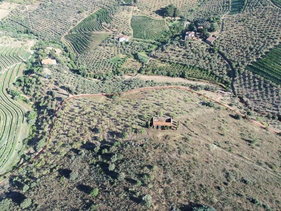 Terreno agrícola para produção de vinho em Freixo de Espada a Cinta — miniatura 6