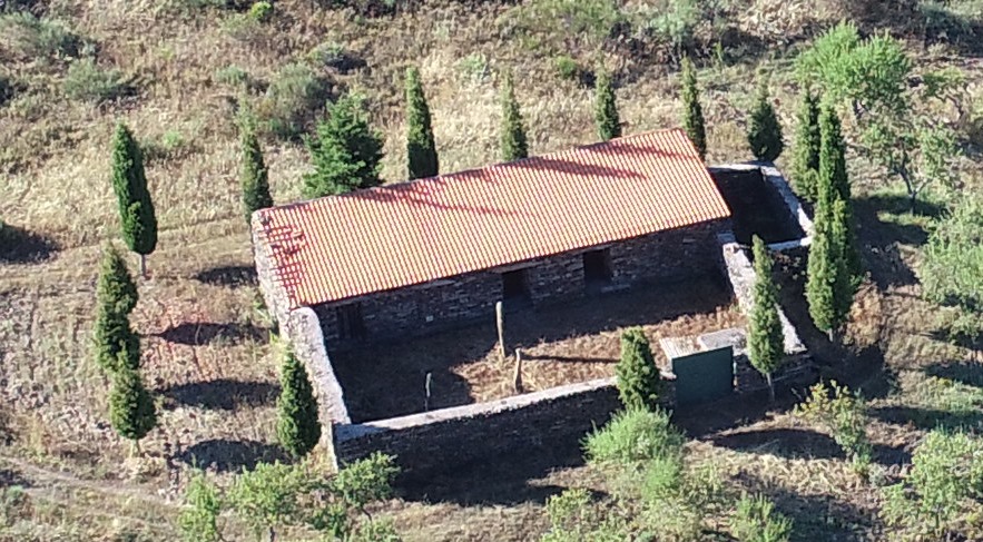 Terreno agrícola para produção de vinho em Freixo de Espada a Cinta — miniatura 11