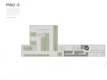 Planta