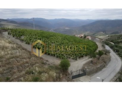 Quinta T6 com vistas para o rio Douro em São João da Pesqueira
