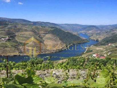 Encantadora Quinta com vista Rio no coração do Douro