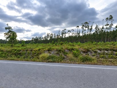 Terreno rústico com 4,3610 ha na Pocariça, Cantanhede