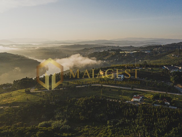 Moradia T5 com piscina e vista panorâmica sobre o Rio Douro — miniatura 15